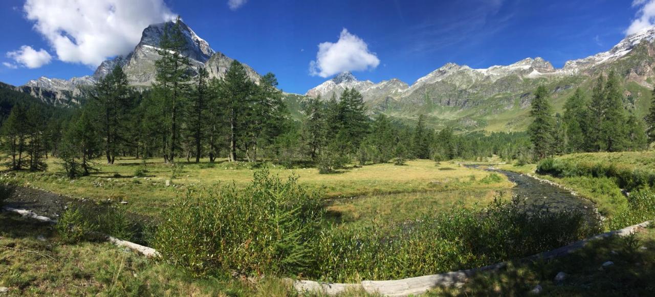 Vila Casa Vacanza In Tipico Chalet Di Montagna Varzo Exteriér fotografie