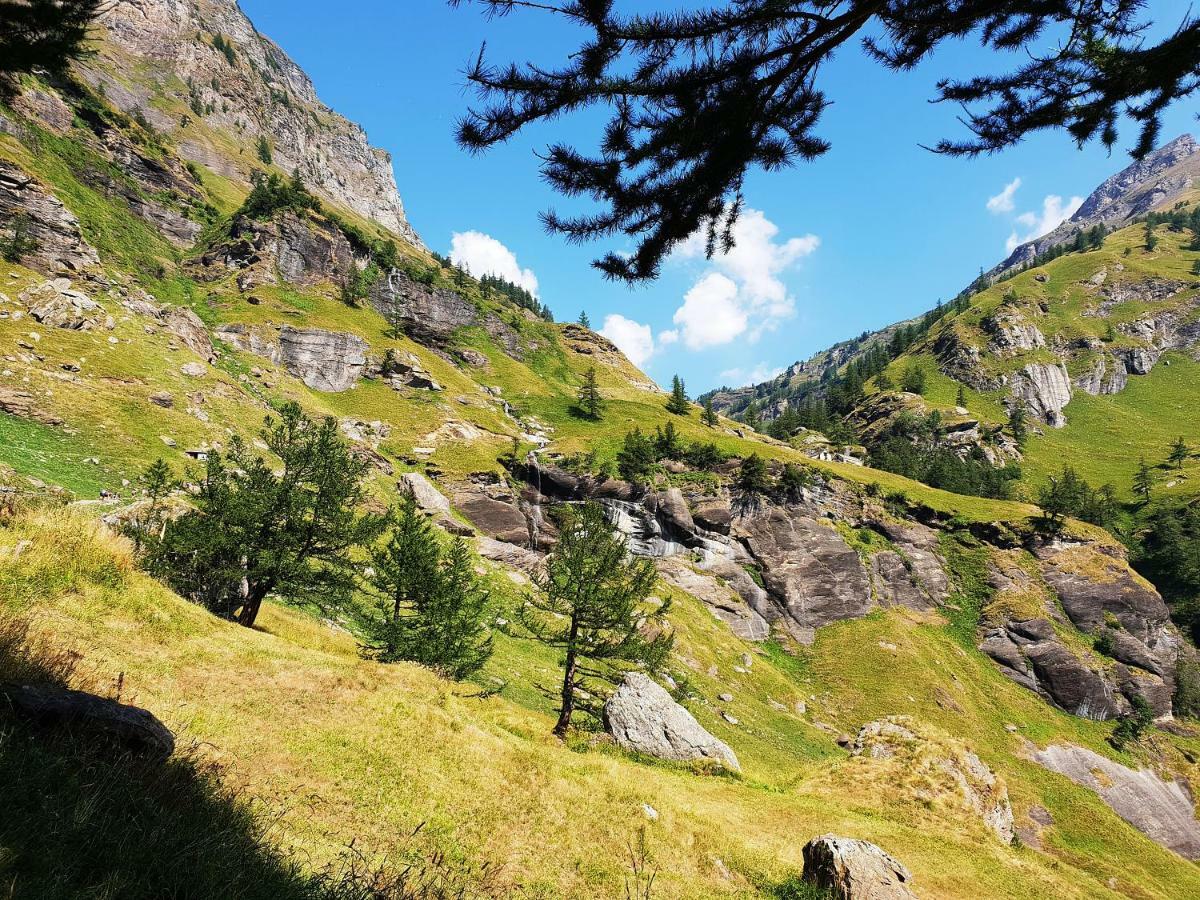 Vila Casa Vacanza In Tipico Chalet Di Montagna Varzo Exteriér fotografie